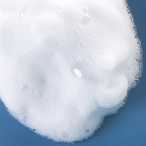 Mousse Cleanser - Mousse de Roche Moussant